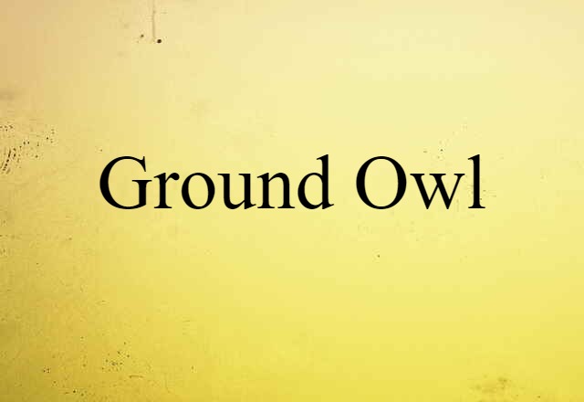 ground owl