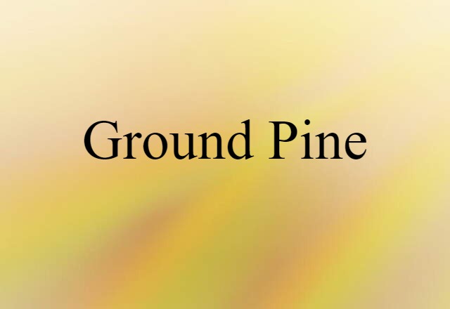 ground pine