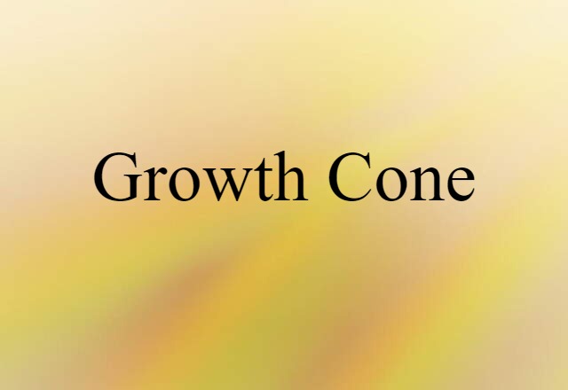 Growth Cone (noun) Definition, Meaning & Examples