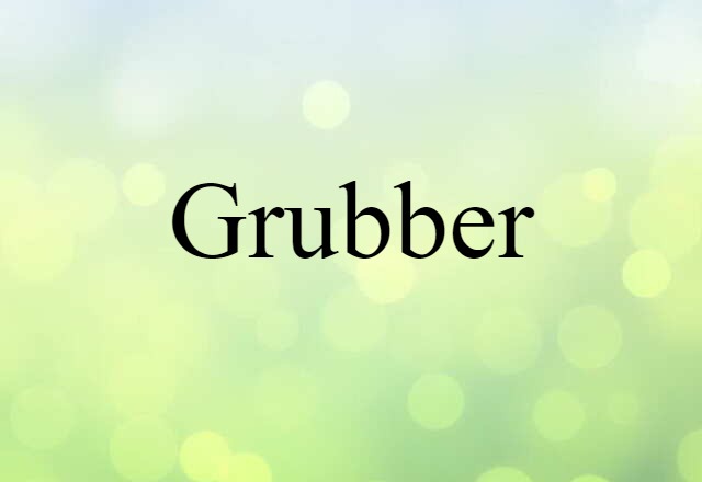 Grubber (noun) Definition, Meaning & Examples