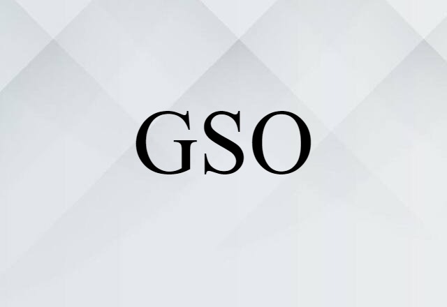 GSO (noun) Definition, Meaning & Examples