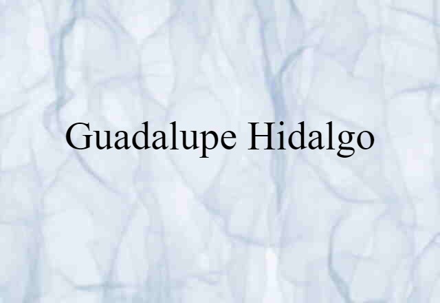 Guadalupe Hidalgo (noun) Definition, Meaning & Examples