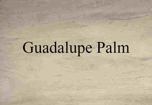 Guadalupe Palm (noun) Definition, Meaning & Examples