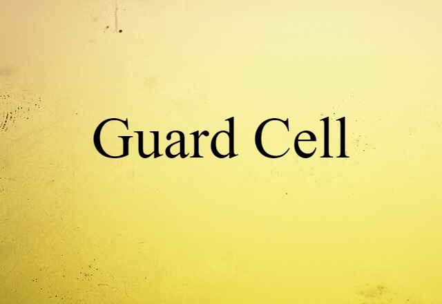 Guard Cell (noun) Definition, Meaning & Examples