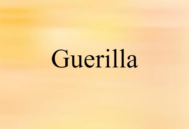 Guerilla (noun) Definition, Meaning & Examples