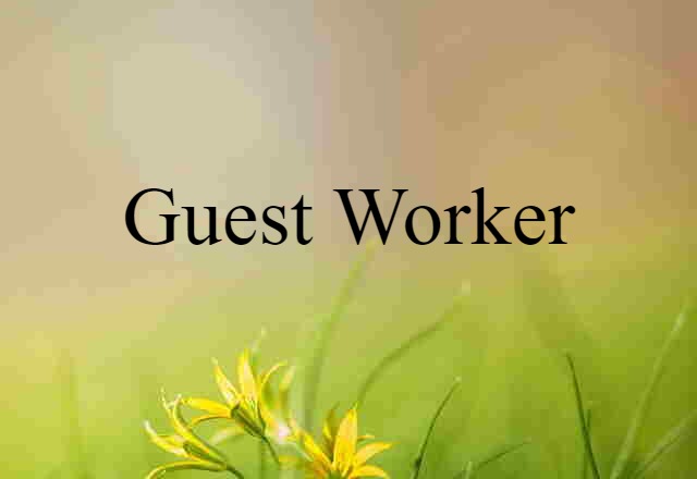 guest worker