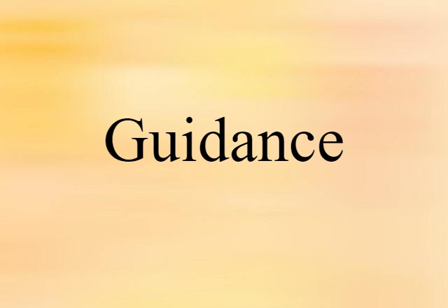 Guidance (noun) Definition, Meaning & Examples