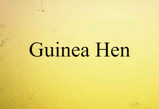 guinea hen