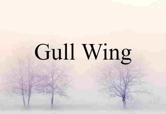 Gull Wing (noun) Definition, Meaning & Examples