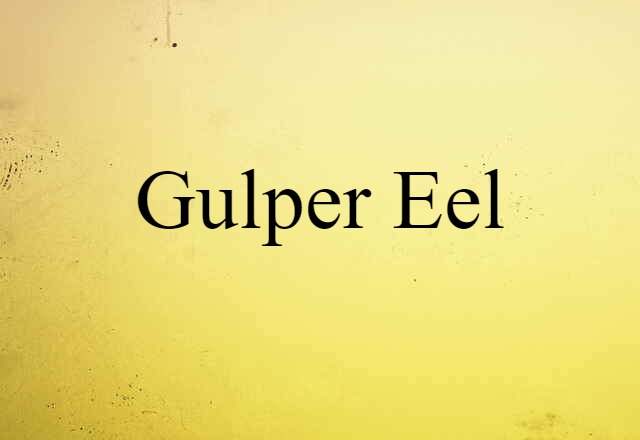 Gulper Eel (noun) Definition, Meaning & Examples