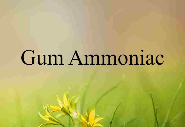 gum ammoniac