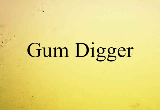 Gum Digger (noun) Definition, Meaning & Examples