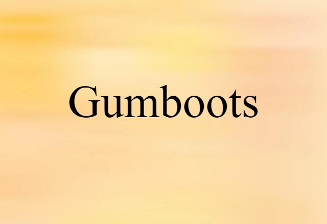 Gumboots (noun) Definition, Meaning & Examples