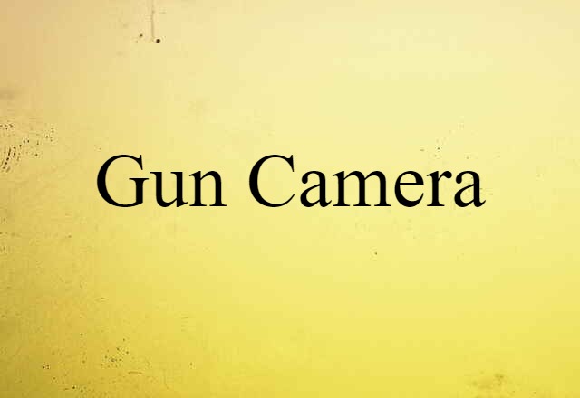 Gun Camera (noun) Definition, Meaning & Examples