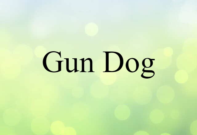 gun dog