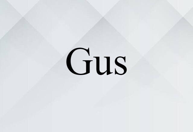 Gus (noun) Definition, Meaning & Examples