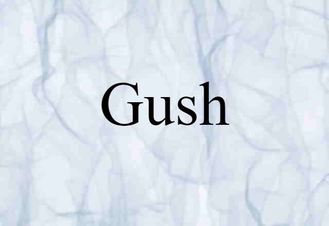 Gush (noun) Definition, Meaning & Examples