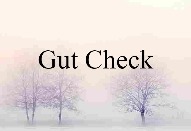 Gut Check (noun) Definition, Meaning & Examples