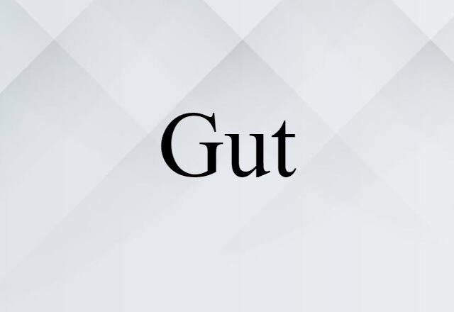 gut