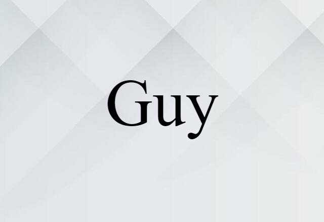 Guy (noun) Definition, Meaning & Examples