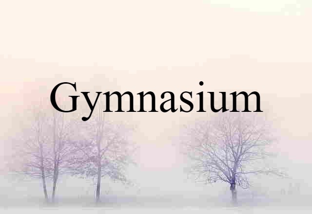 Gymnasium (noun) Definition, Meaning & Examples