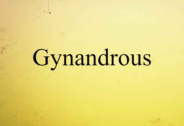 gynandrous