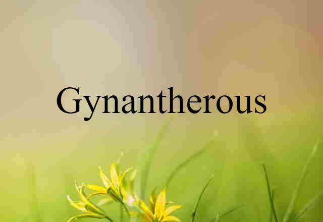 gynantherous