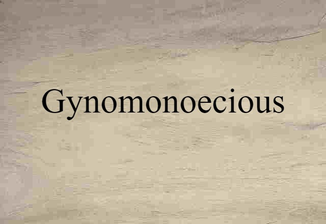 Gynomonoecious (noun) Definition, Meaning & Examples