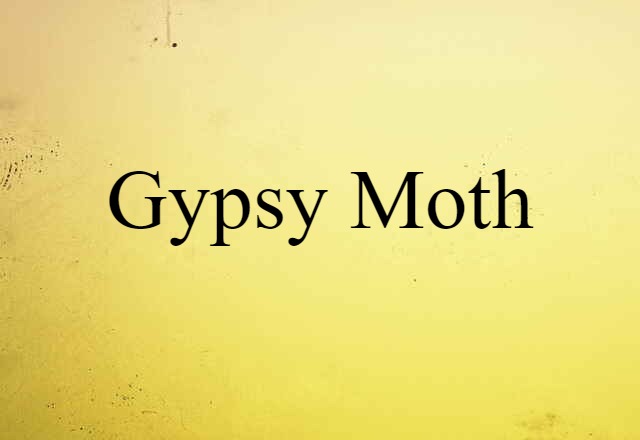 Gypsy Moth (noun) Definition, Meaning & Examples