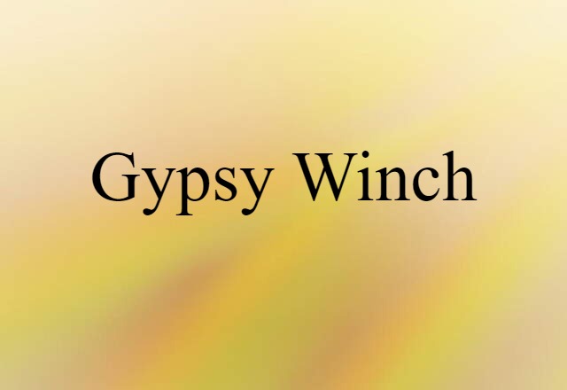 Gypsy Winch (noun) Definition, Meaning & Examples