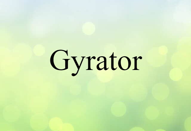 Gyrator (noun) Definition, Meaning & Examples