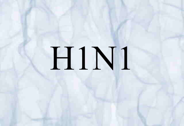 H1N1 (noun) Definition, Meaning & Examples