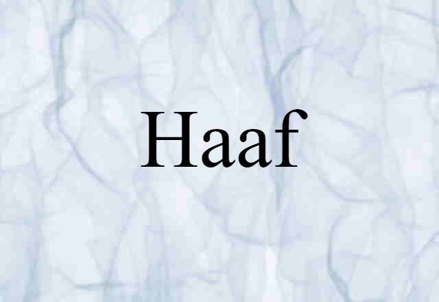 haaf