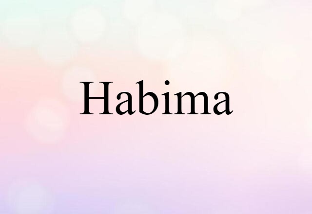 Habima (noun) Definition, Meaning & Examples