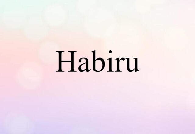 Habiru (noun) Definition, Meaning & Examples