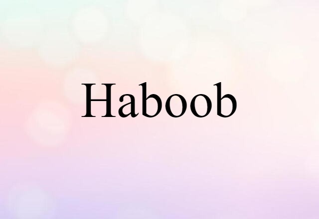 Haboob (noun) Definition, Meaning & Examples