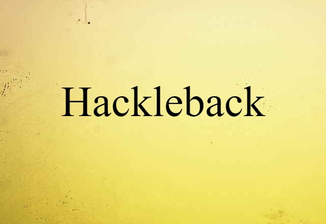 hackleback