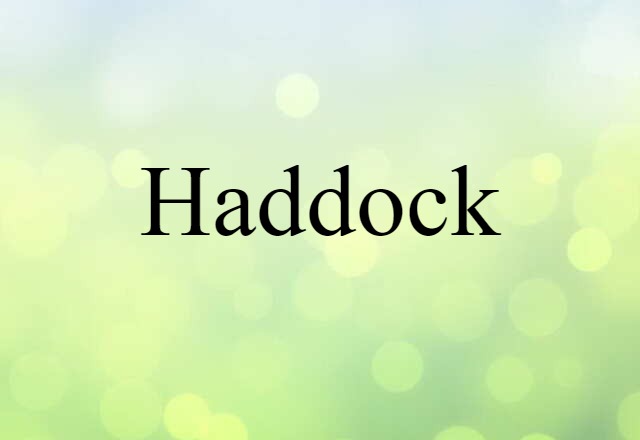 haddock