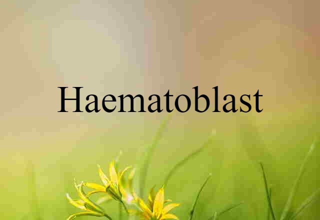 Haematoblast (noun) Definition, Meaning & Examples