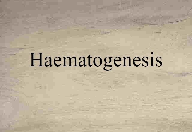 Haematogenesis (noun) Definition, Meaning & Examples