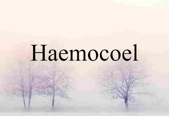 haemocoel