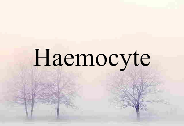 haemocyte