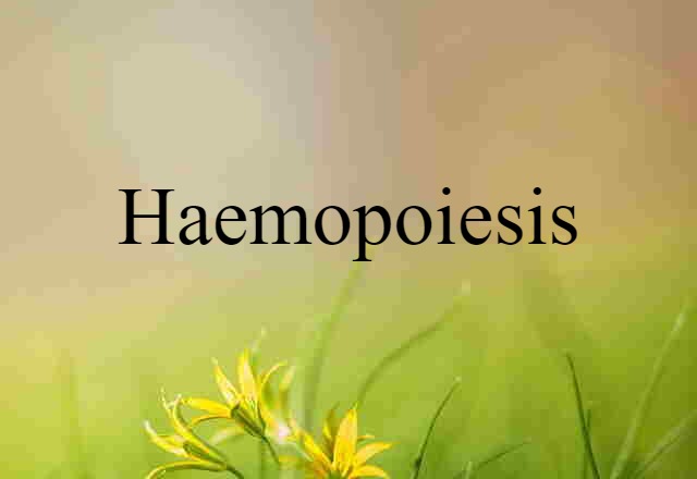 haemopoiesis