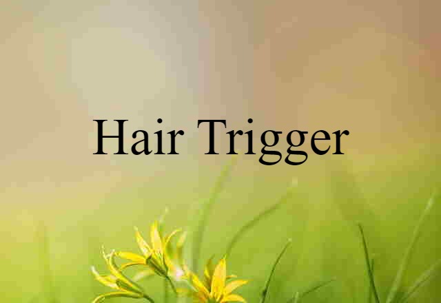 hair trigger