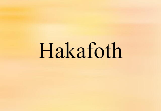 Hakafoth (noun) Definition, Meaning & Examples