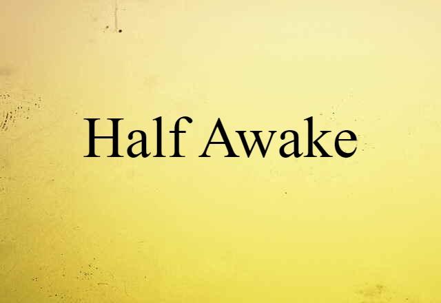 Half Awake (noun) Definition, Meaning & Examples