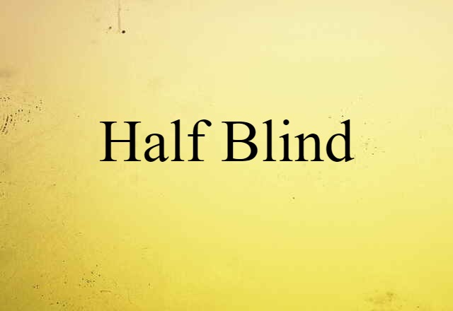 Half-blind (noun) Definition, Meaning & Examples