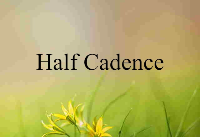 half cadence