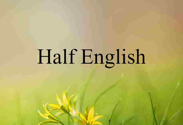 Half-English (noun) Definition, Meaning & Examples