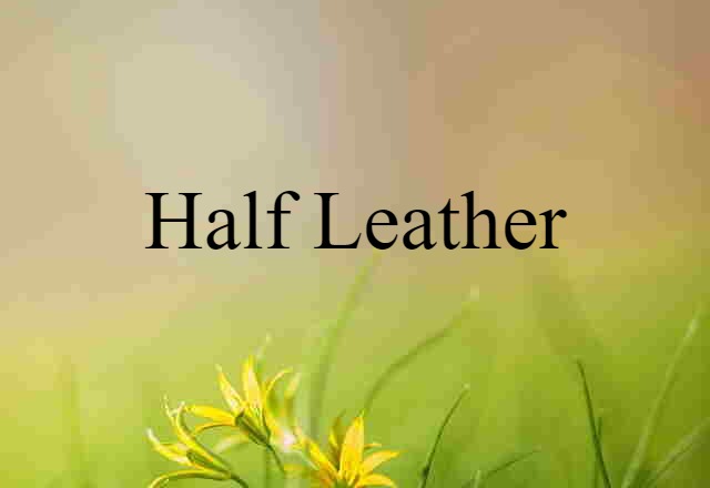 Half Leather (noun) Definition, Meaning & Examples